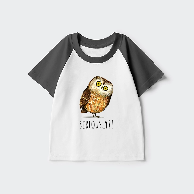 Tokyo-Tiger Seriously Confused Owl Meme Art Kids Raglan T-shirt