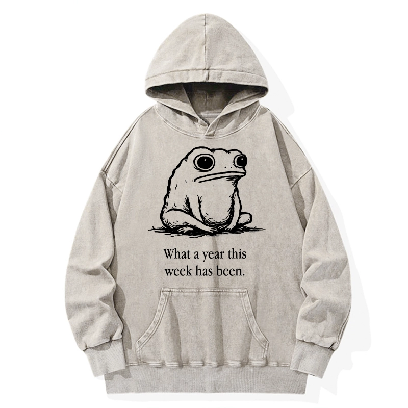 Tokyo-Tiger This Week Feels Like A Whole Year Washed Hoodie