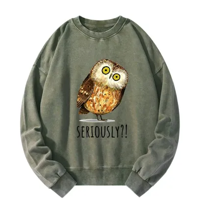 Tokyo-Tiger Seriously Confused Owl Meme Art Washed Sweatshirt