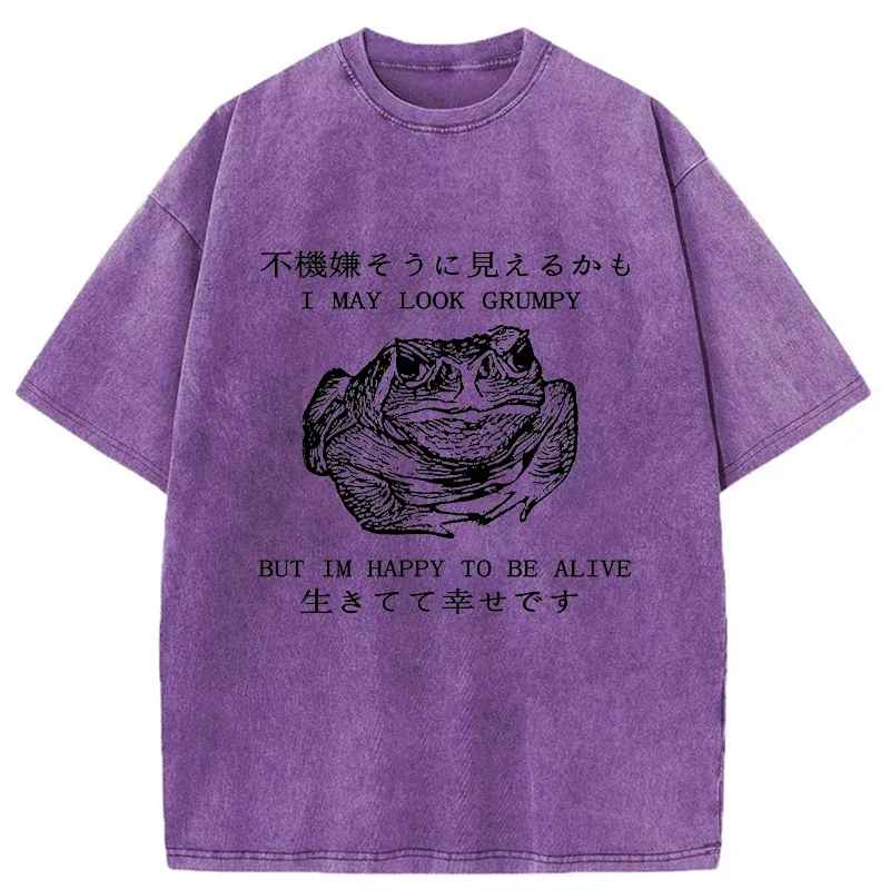 Tokyo-Tiger Emotionally Calm Frog Washed T-Shirt