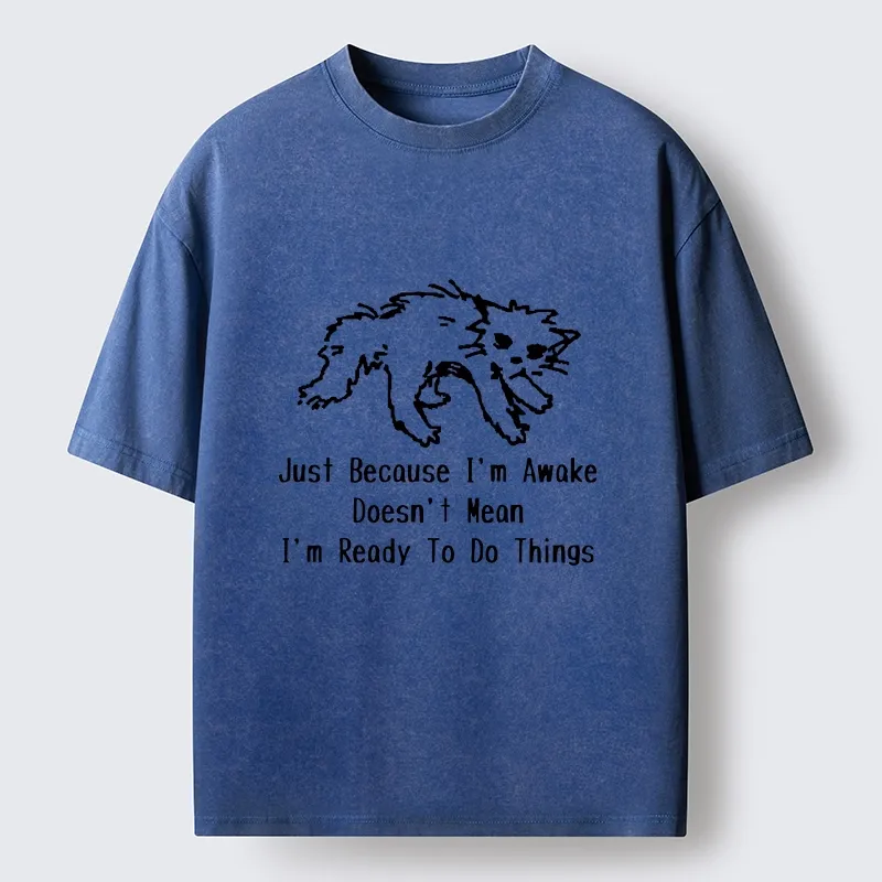 Tokyo-Tiger Chill Tired Cat Slow Lazy Life Art Washed T-Shirt