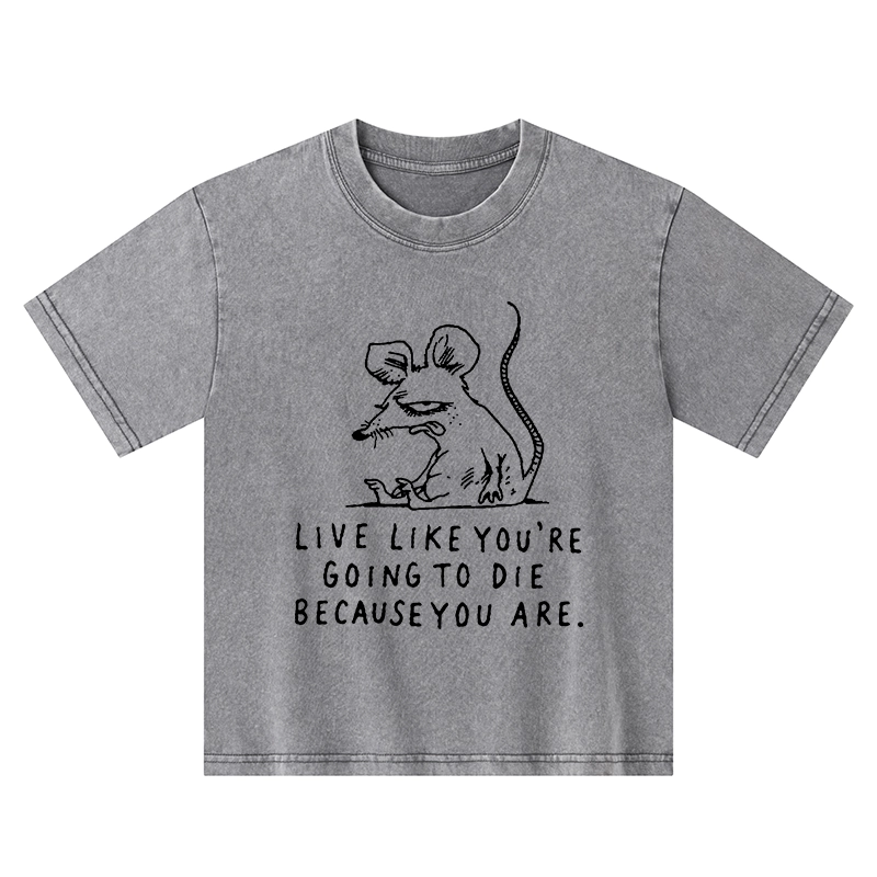 Tokyo-Tiger Funny Meme Sarcastic Rat Life Truth Kids Washed T-Shirt