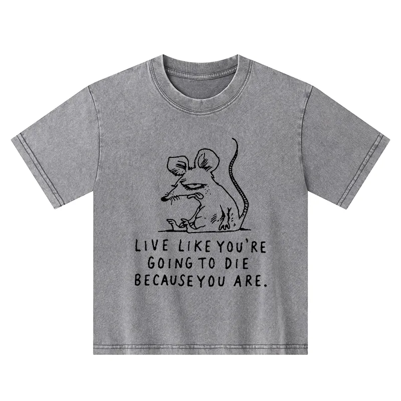 Tokyo-Tiger Funny Meme Sarcastic Rat Life Truth Kids Washed T-Shirt