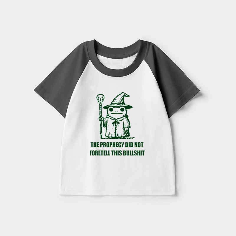 Tokyo-Tiger Funny Meme Wizard Frog Weird Prophecy Kids Raglan T-shirt