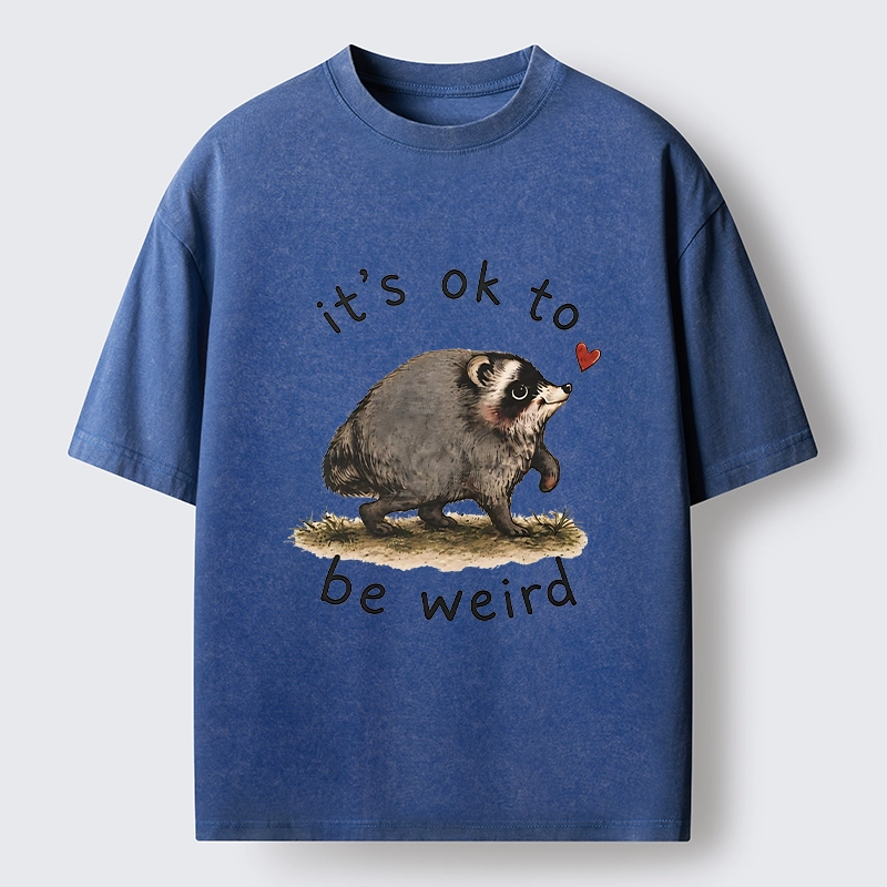 Tokyo-Tiger Jimothy Weird Raccoon Art Washed T-Shirt