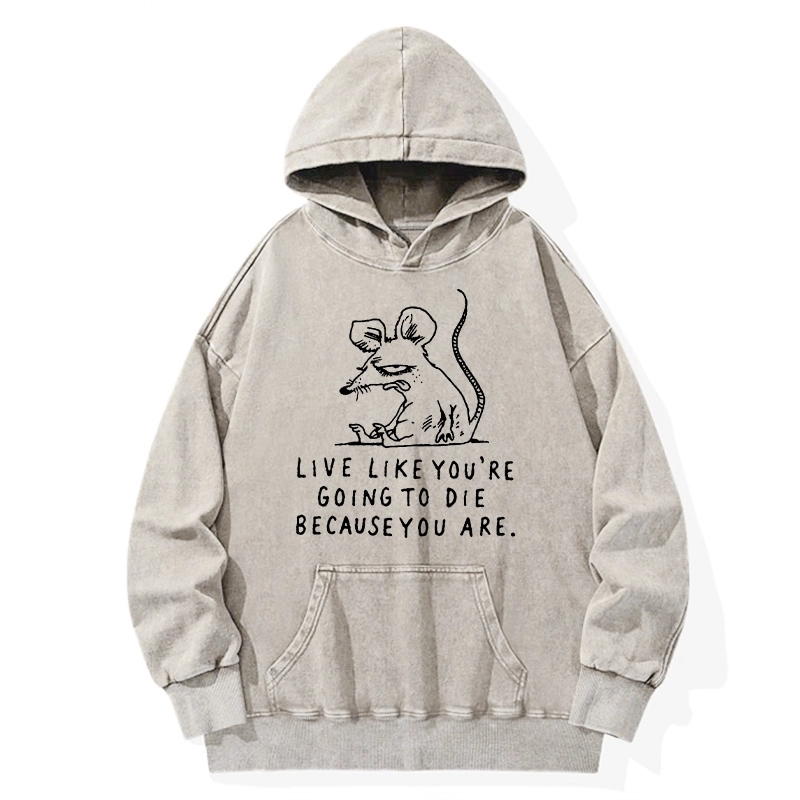 Tokyo-Tiger Funny Meme Sarcastic Rat Life Truth Washed Hoodie