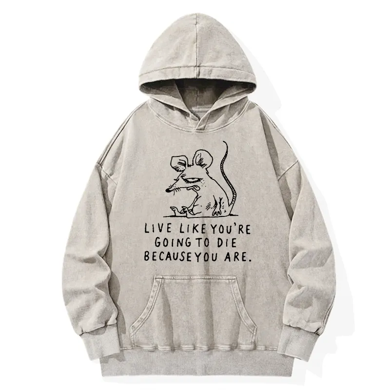 Tokyo-Tiger Funny Meme Sarcastic Rat Life Truth Washed Hoodie