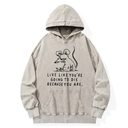 Tokyo-Tiger Funny Meme Sarcastic Rat Life Truth Washed Hoodie