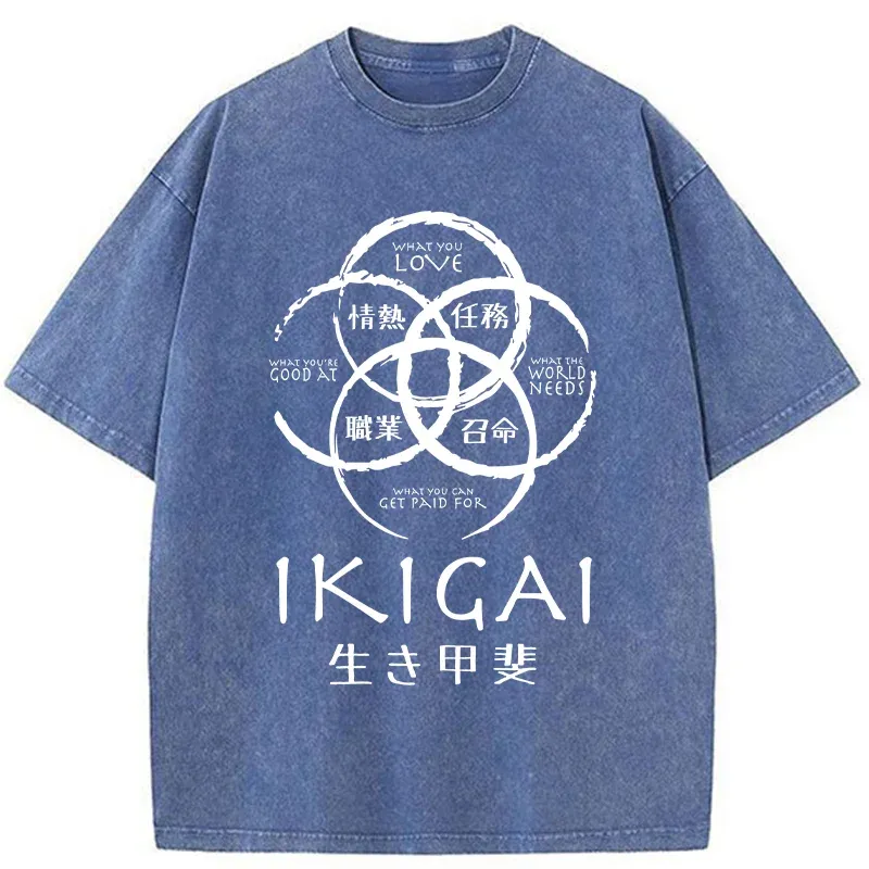 Tokyo-Tiger Life Meaning Japan Washed T-Shirt