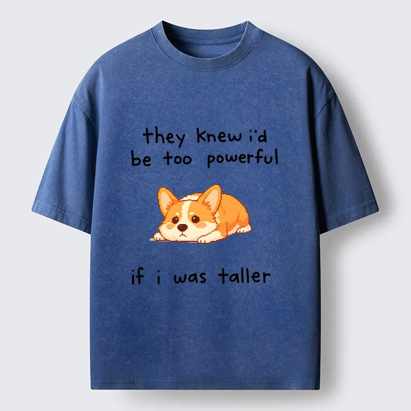 Tokyo-Tiger Funny Short Dog Joke Washed T-Shirt