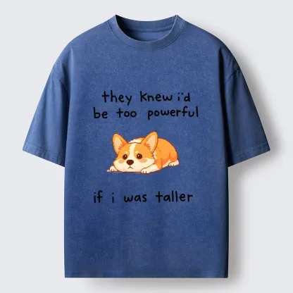 Tokyo-Tiger Funny Short Dog Joke Washed T-Shirt