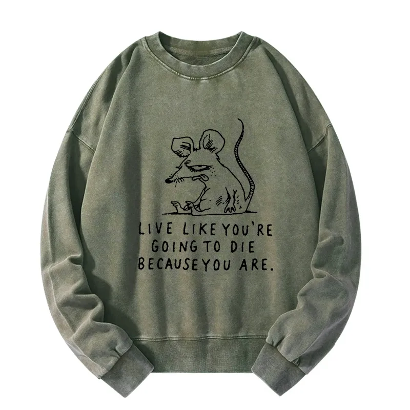Tokyo-Tiger Funny Meme Sarcastic Rat Life Truth Washed Sweatshirt