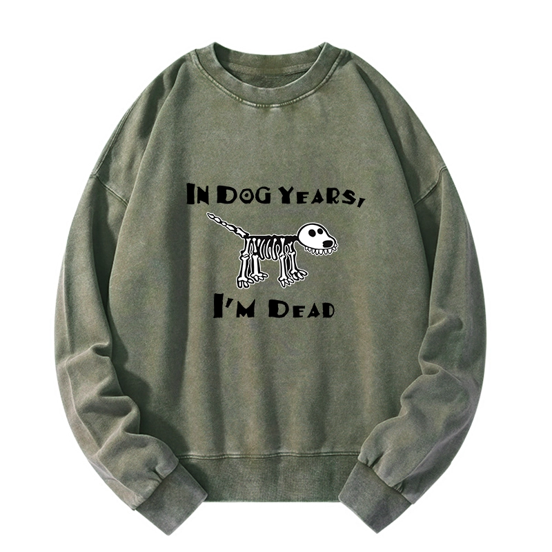 Tokyo-Tiger Funny Meme Old Dog Dead In Dog Years Vibe Washed Sweatshirt