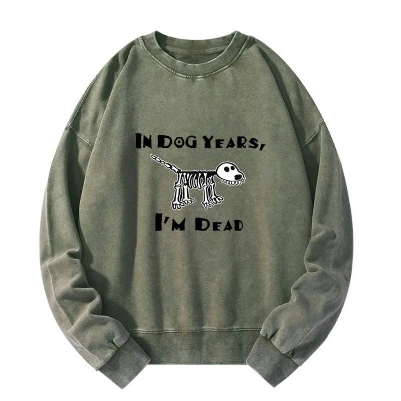 Tokyo-Tiger Funny Meme Old Dog Dead In Dog Years Vibe Washed Sweatshirt