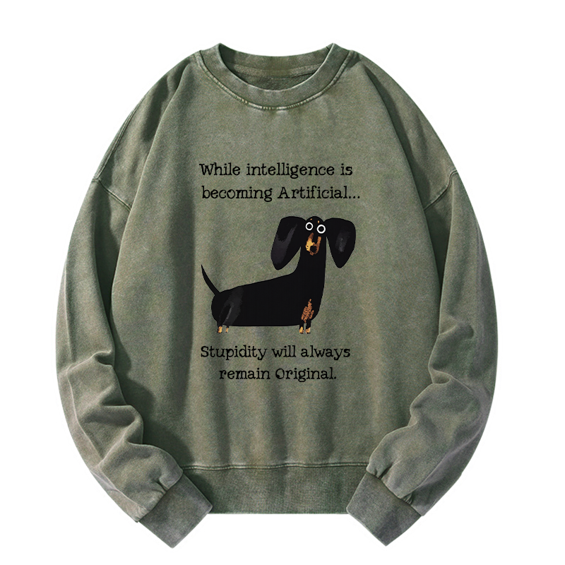 Tokyo-Tiger Dachshund Real Humor Funny Meme Washed Sweatshirt