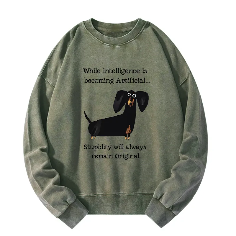 Tokyo-Tiger Dachshund Real Humor Funny Meme Washed Sweatshirt