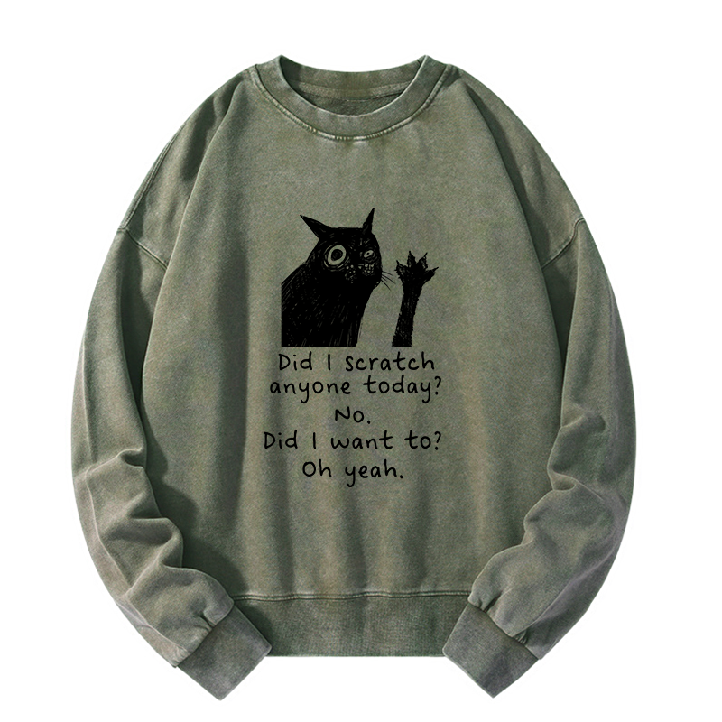 Tokyo-Tiger Black Cat Scratches People Washed Sweatshirt