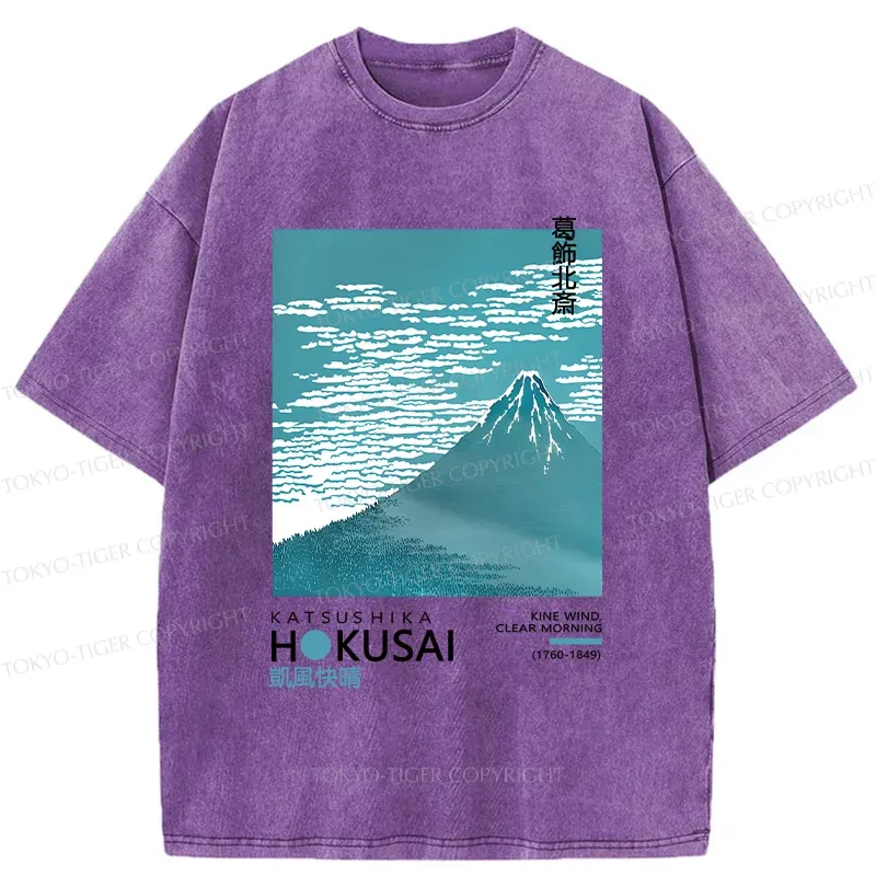 Tokyo-Tiger Retro Mount Fuji Washed T-Shirt