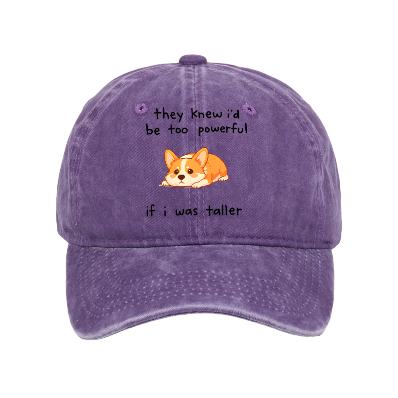 Tokyo-Tiger Funny Short Dog Joke Washed Cap