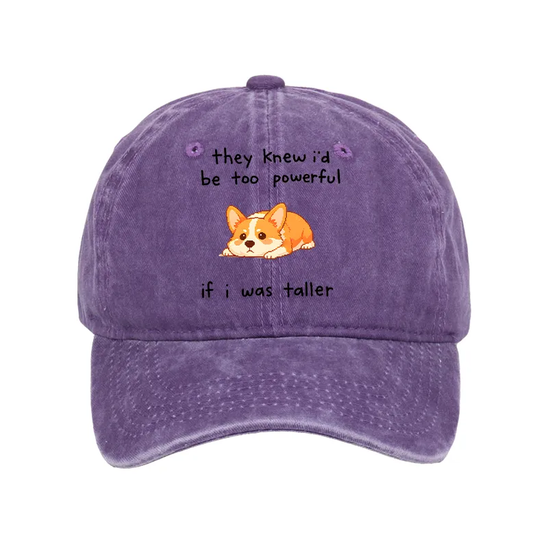 Tokyo-Tiger Funny Short Dog Joke Washed Cap