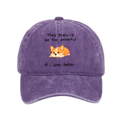Tokyo-Tiger Funny Short Dog Joke Washed Cap