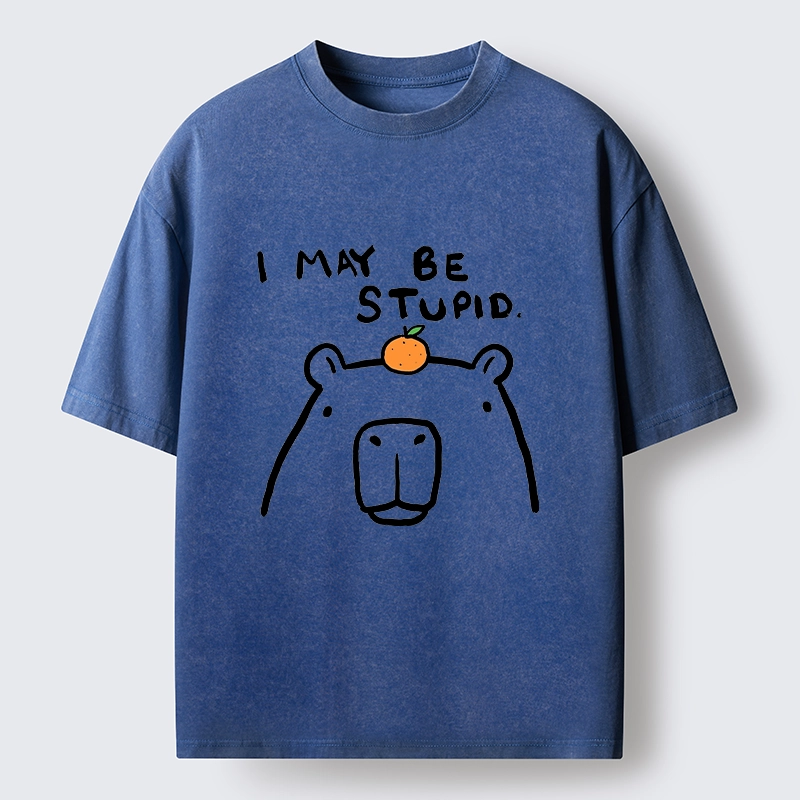 Tokyo‑Tiger Funny Capybara Orange Washed T‑Shirt