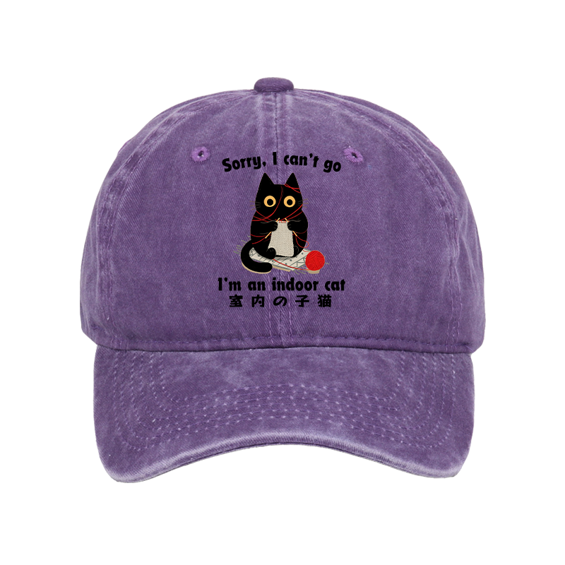 Tokyo-Tiger Indoor Cat Meme Washed Cap