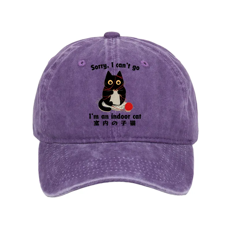 Tokyo-Tiger Indoor Cat Meme Washed Cap