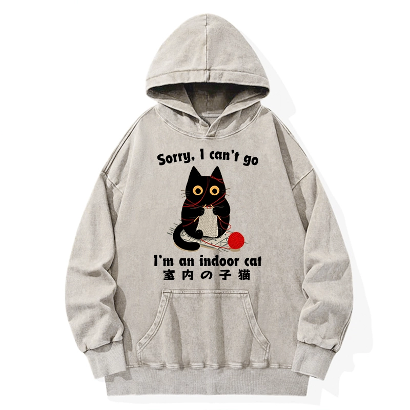 Tokyo-Tiger Indoor Cat Meme Washed Hoodie