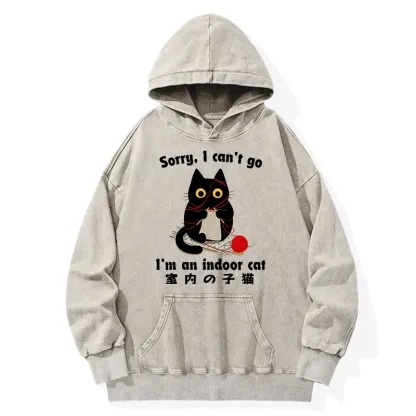 Tokyo-Tiger Indoor Cat Meme Washed Hoodie