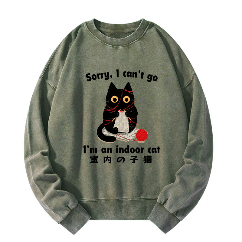 Tokyo-Tiger Indoor Cat Meme Washed Sweatshirt