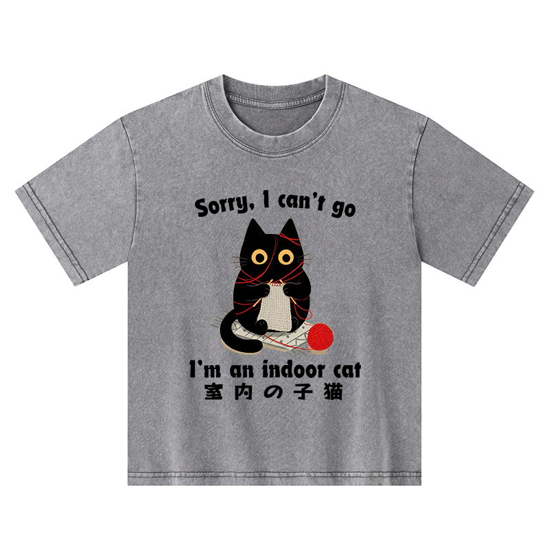 Tokyo-Tiger Indoor Cat Meme Kids Washed T-Shirt