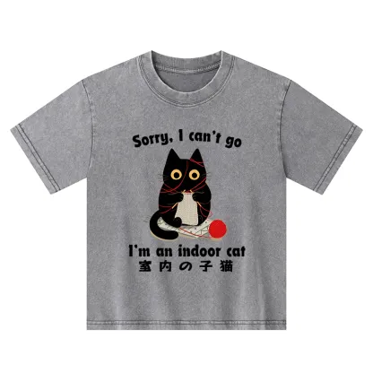 Tokyo-Tiger Indoor Cat Meme Kids Washed T-Shirt