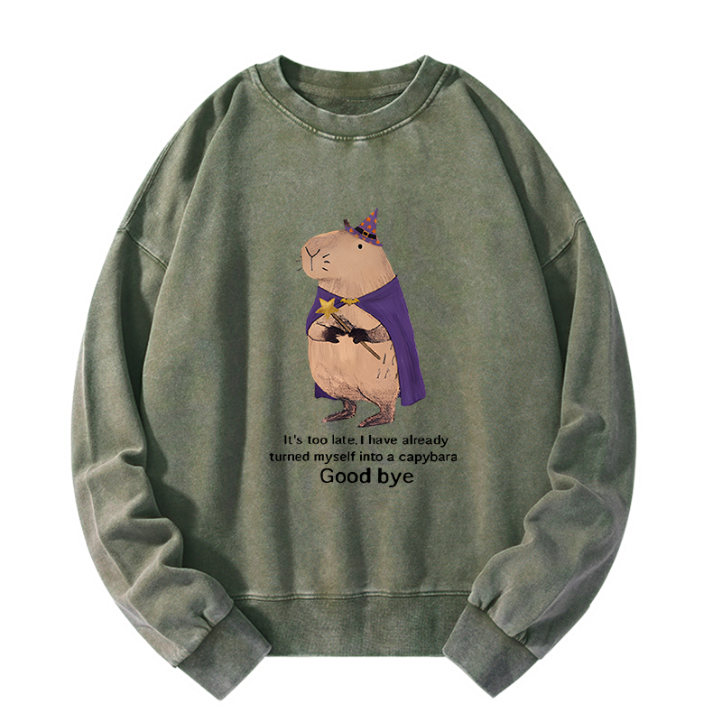 Tokyo-Tiger Funny Wizard Capybara Washed Sweatshirt