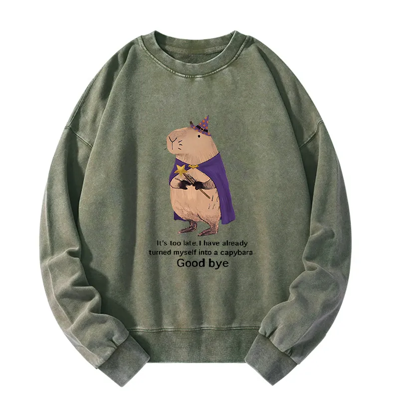 Tokyo-Tiger Funny Wizard Capybara Washed Sweatshirt