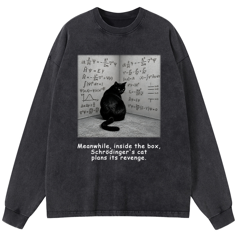 Tokyo-Tiger Box Black Cat Science Meme Washed Long Sleeve T-Shirt