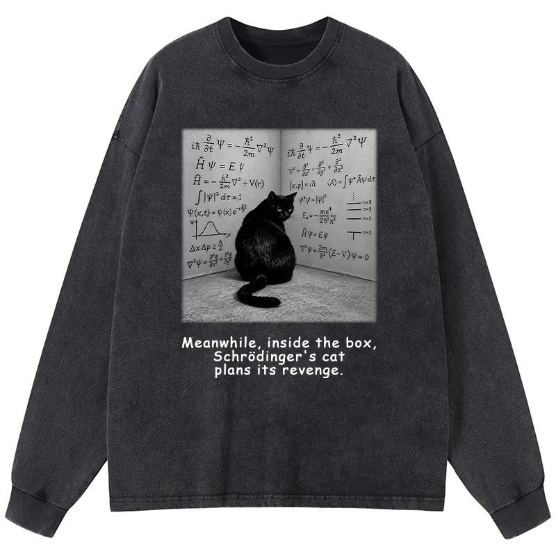 Tokyo-Tiger Box Black Cat Science Meme Washed Long Sleeve T-Shirt Sale