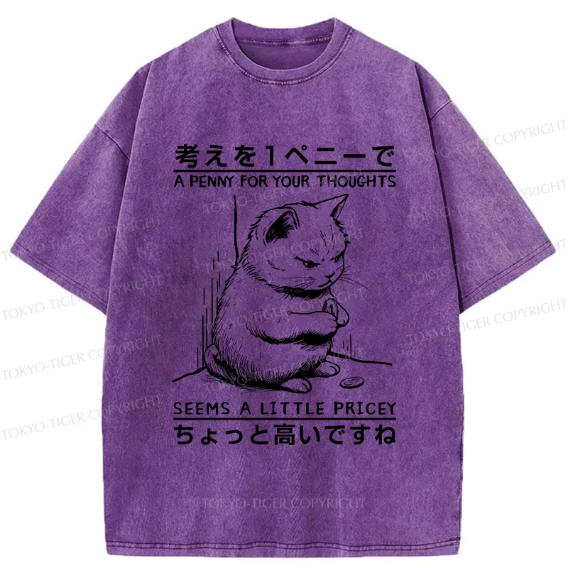 Tokyo-Tiger A Penny For Your Thoughts Washed T-Shirt