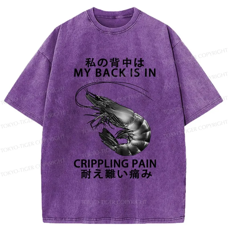 Tokyo-Tiger My Back Is In Crippling Pain Washed T-Shirt