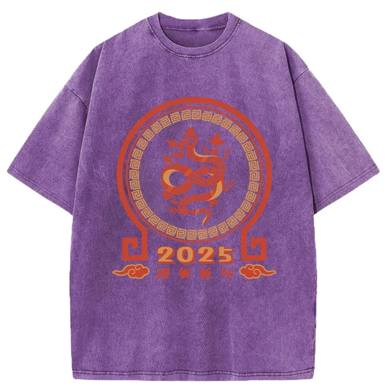 Tokyo-Tiger Celebrating The Year Of The Snake Washed T-Shirt