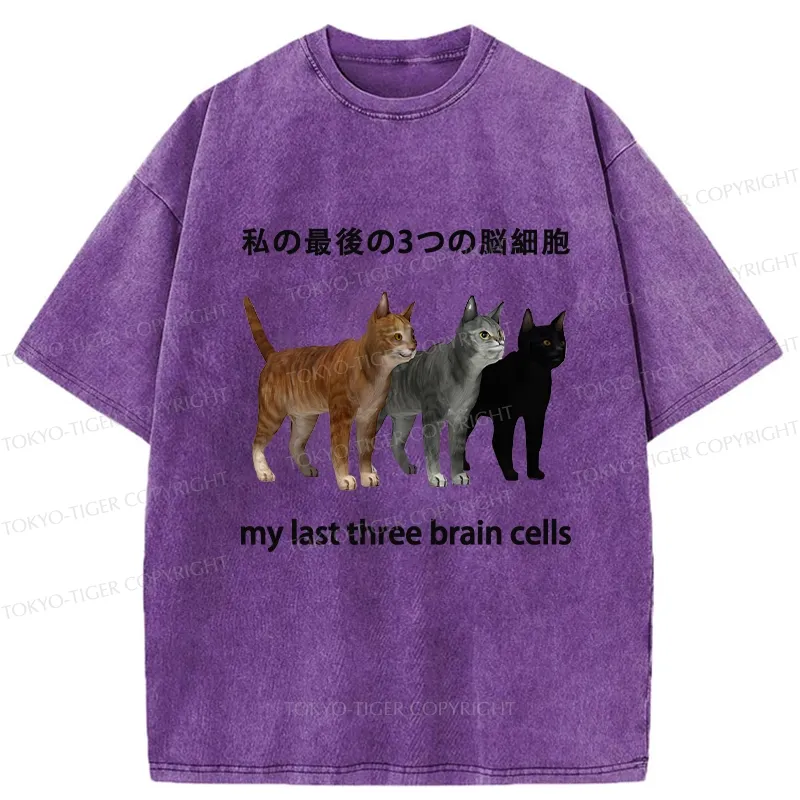 Tokyo-Tiger My Last Three Brain Cells Washed T-Shirt