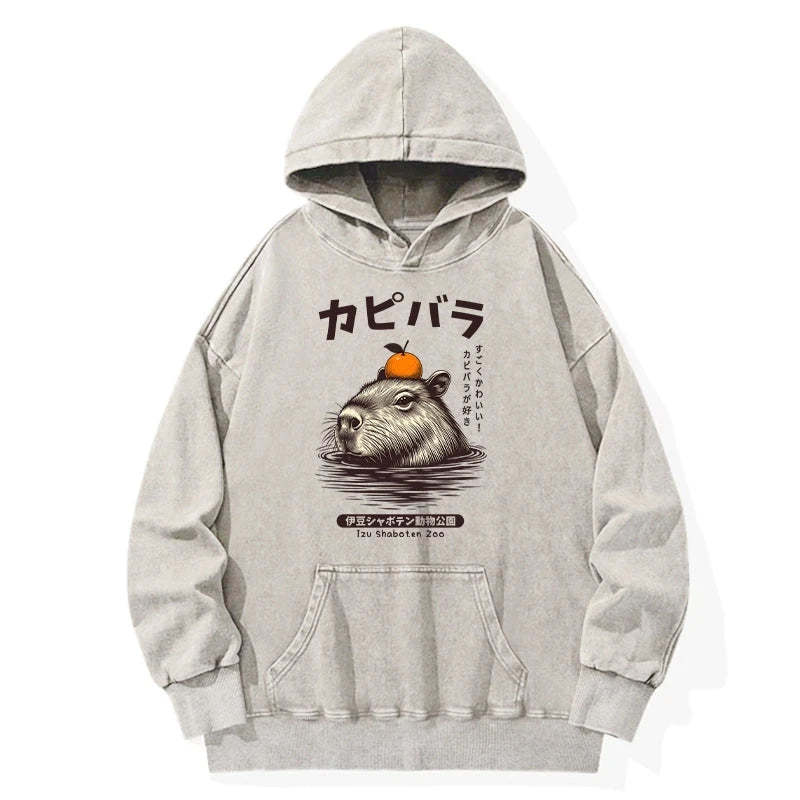 Tokyo-Tiger Capybara Hot Spring Washed Hoodie Sale