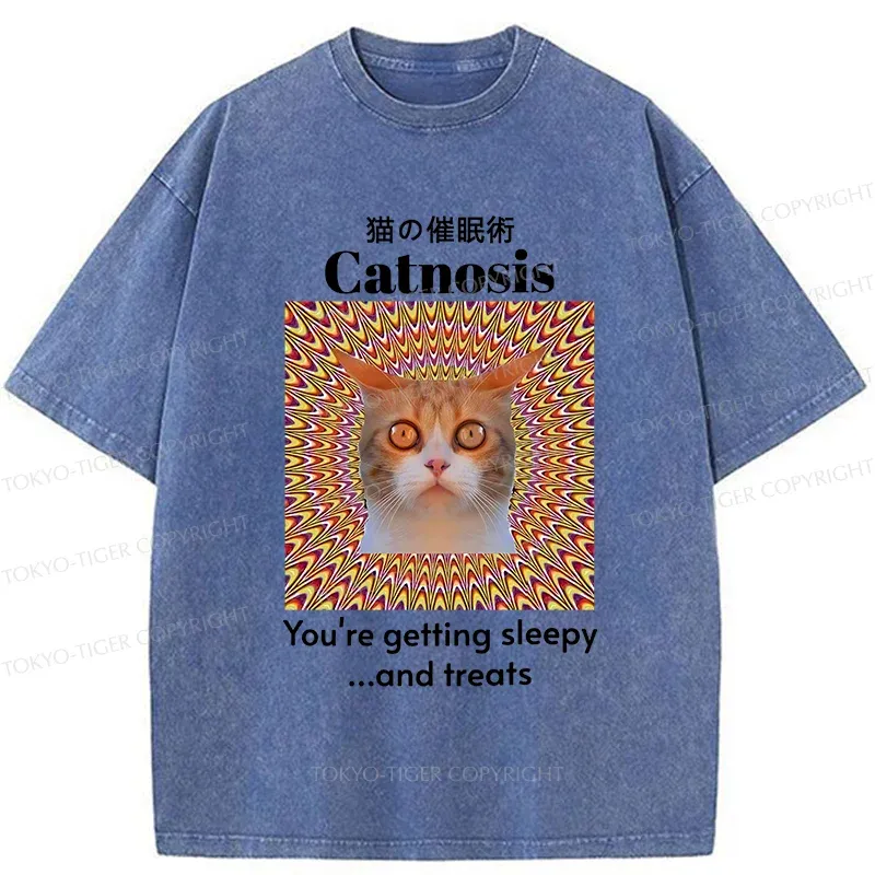 Tokyo-Tiger Hypnotist Cat Washed T-Shirt