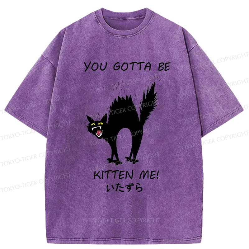 Tokyo-Tiger Cat Being Teased Washed T-Shirt