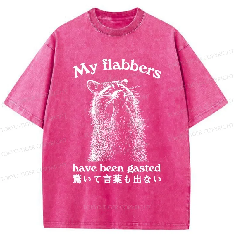 Tokyo-Tiger My Flabbers Have Been Gasted Washed T-Shirt