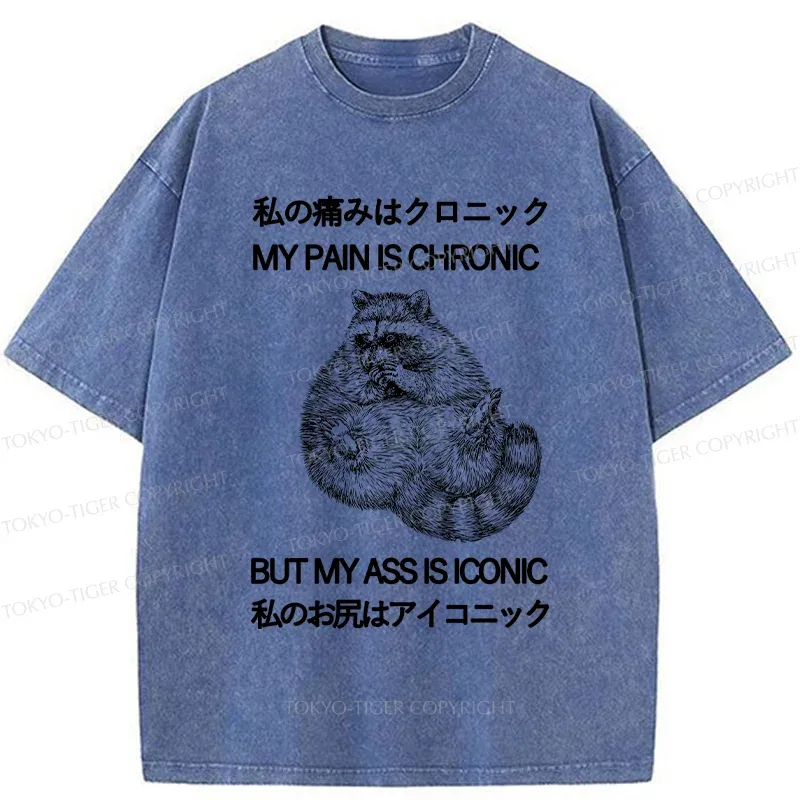 Tokyo-Tiger Raccoon Assis Iconic Washed T-Shirt