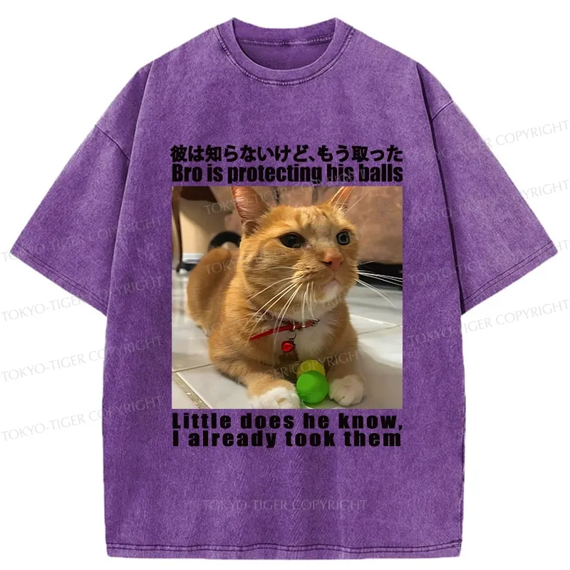 Tokyo-Tiger Bro Is Protecting His Balls Washed T-Shirt