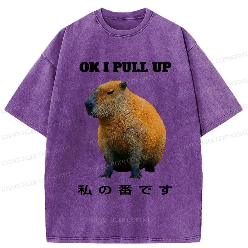 Tokyo-Tiger Ok I Pull Up Funny Capybara Washed T-Shirt