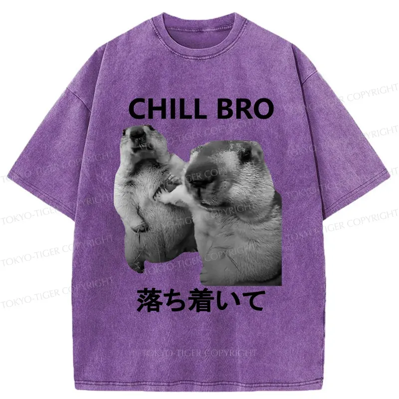 Tokyo-Tiger Calm Down Otter Washed T-Shirt