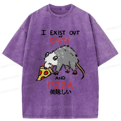 Tokyo-Tiger Delicious Pizza Japan Washed T-Shirt